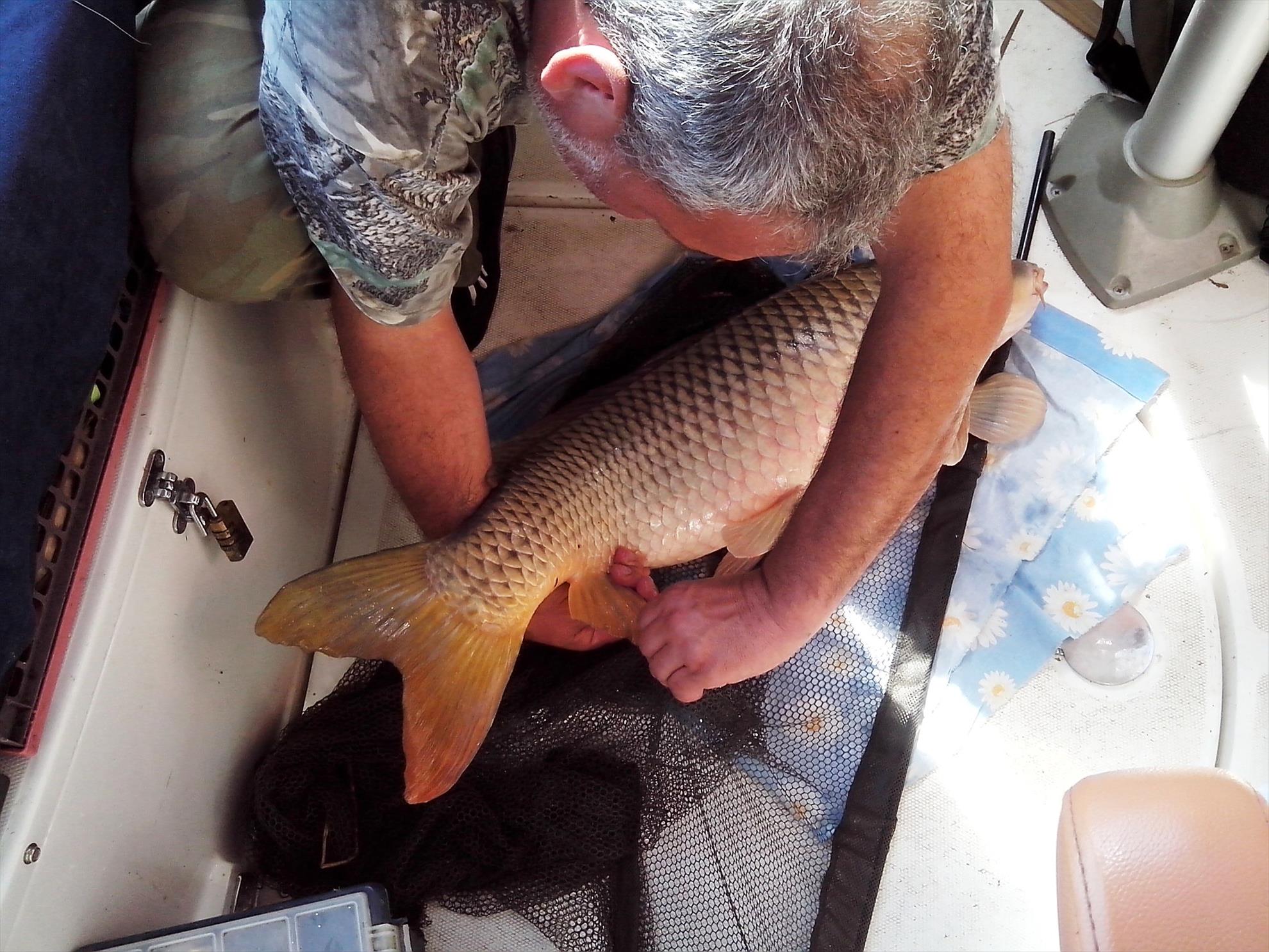 Sulina septembrie 2014 - img20140925132209.jpg